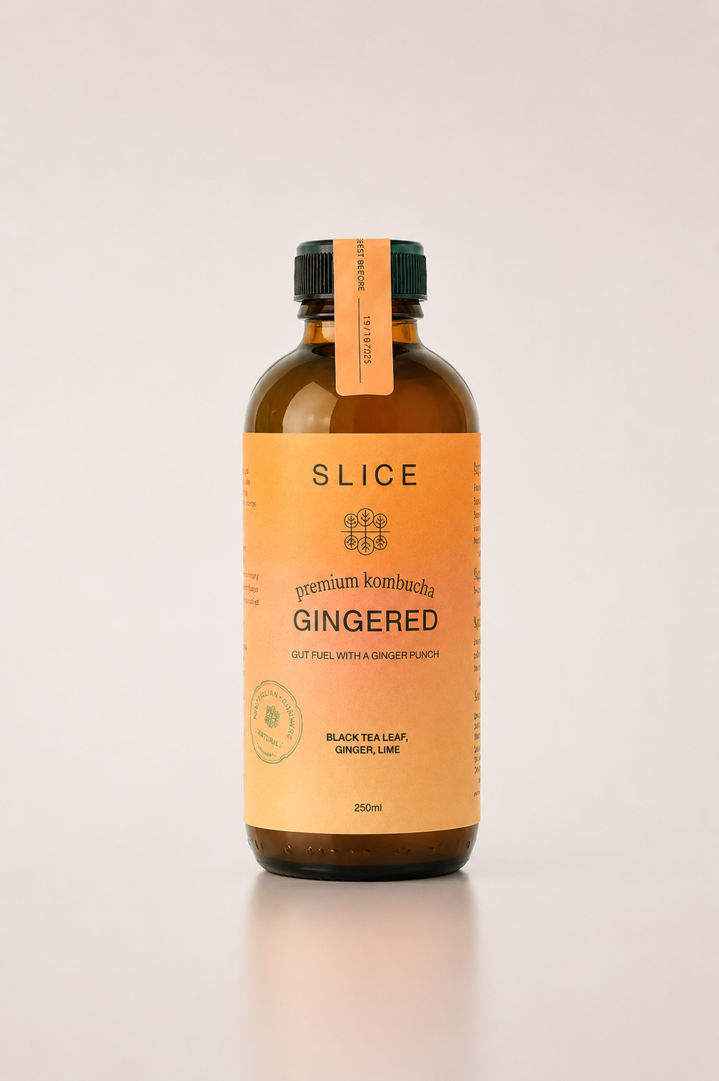 Ginger Kombucha